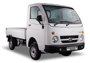 Tata Ace Gold Petro CX